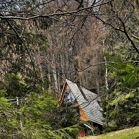 Chalet V Naruci Lesa Donoval Donovaly